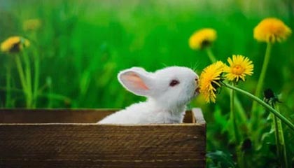 开云体育_《新古剑奇谭手游》电竞联赛即将启动，玩家期待值爆棚