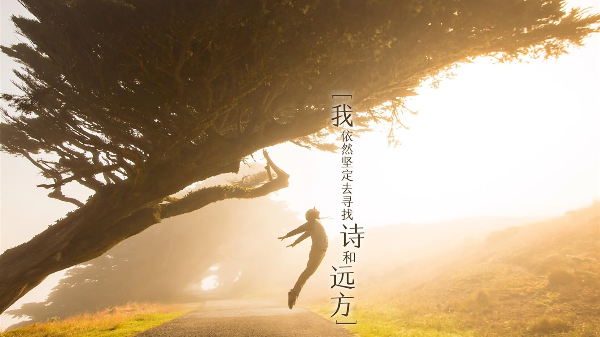 “青少年足球文化节热烈举行，推广体育精神”，青少年足球宣传文案