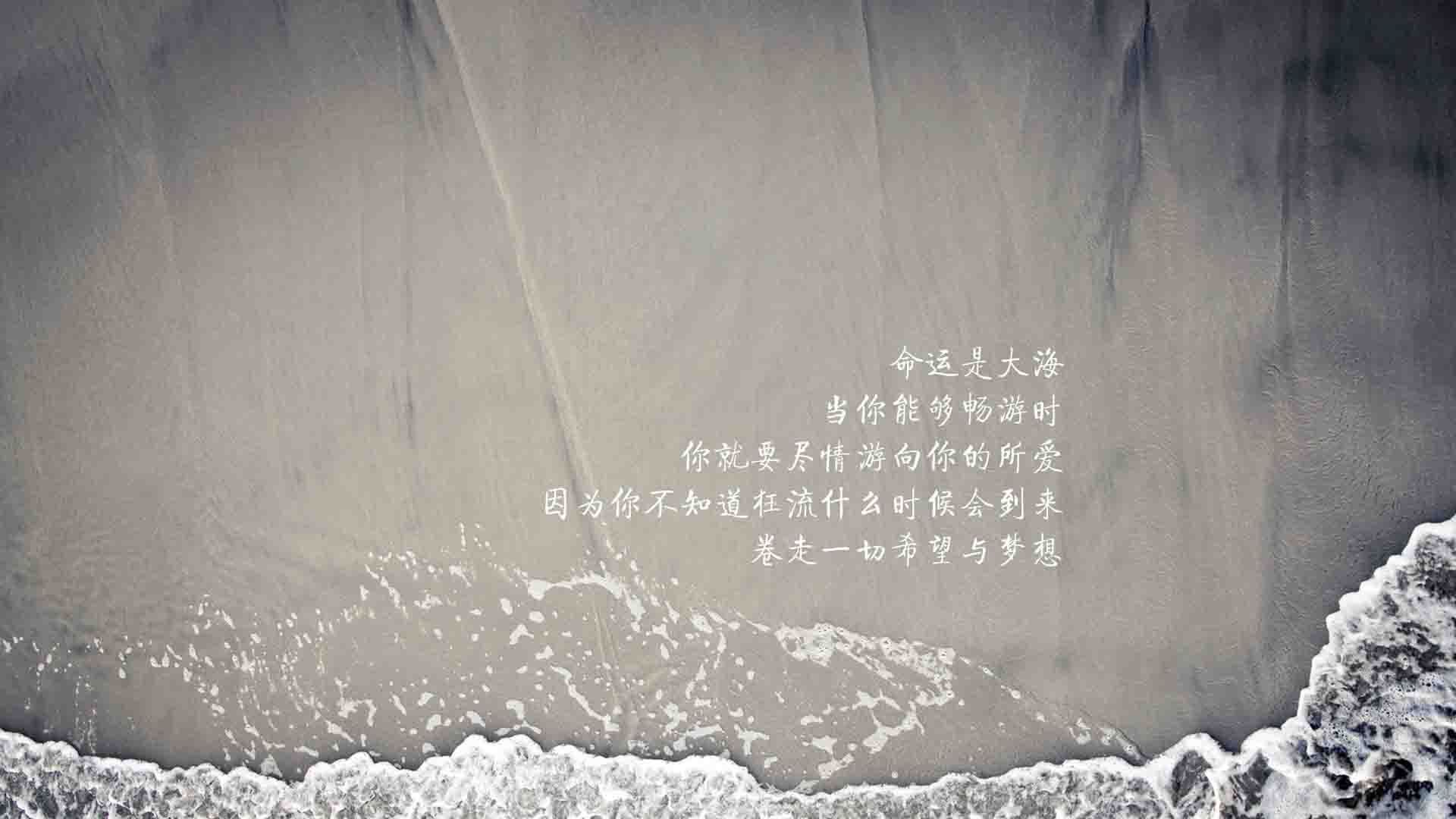 “青少年足球文化节热烈举行，推广体育精神”，青少年足球宣传文案