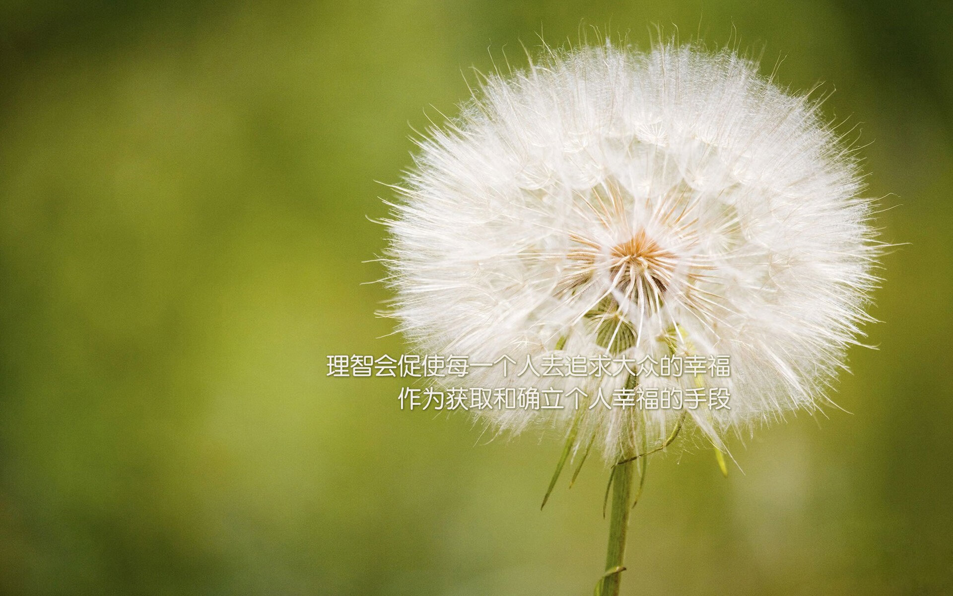 【丁俊晖全传】从青涩少年到世界第一的成长历程，丁俊晖成长经历视频