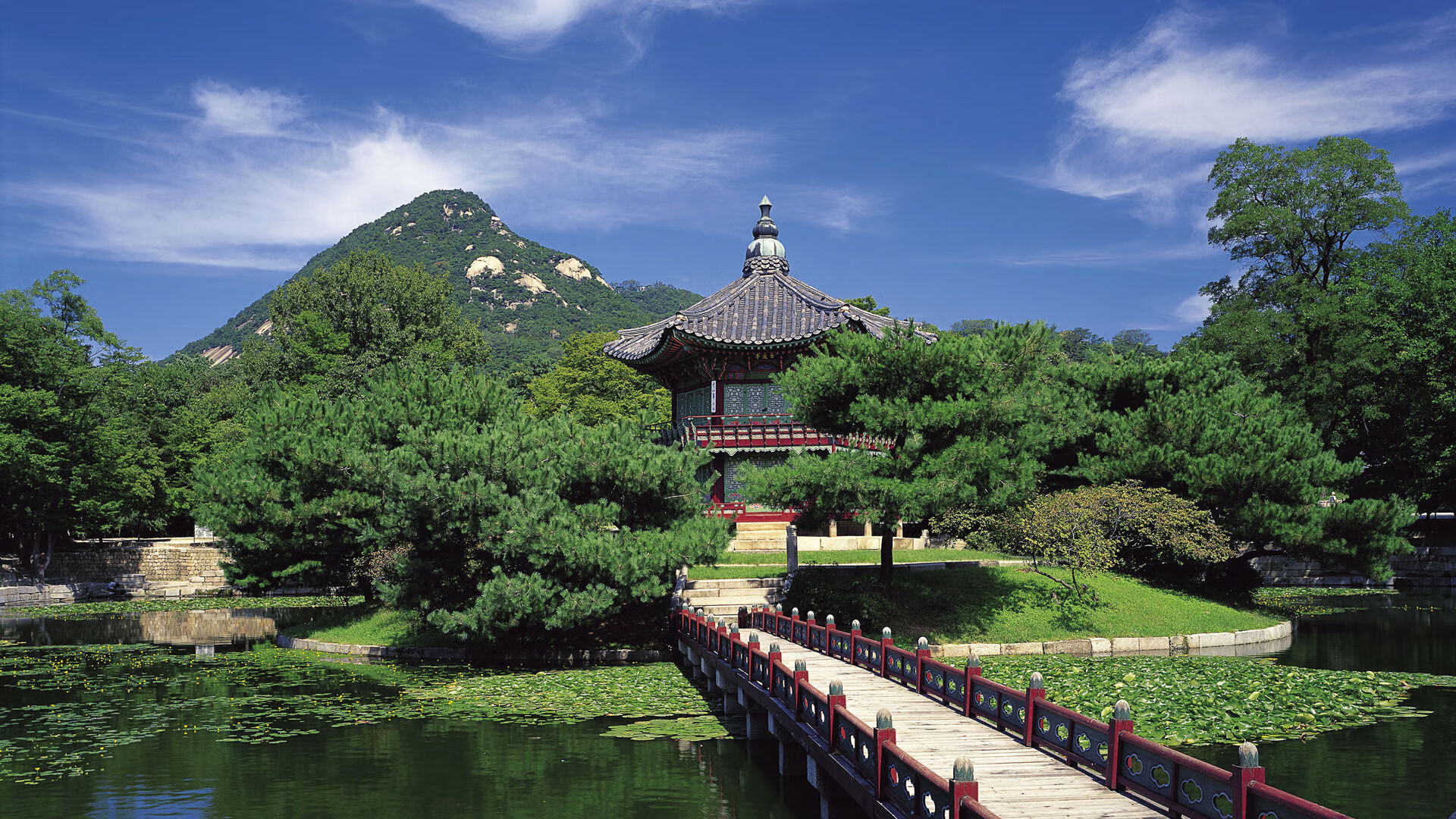 上海申花主场表现出色，锁定积分榜前三，上海申花主场迁移