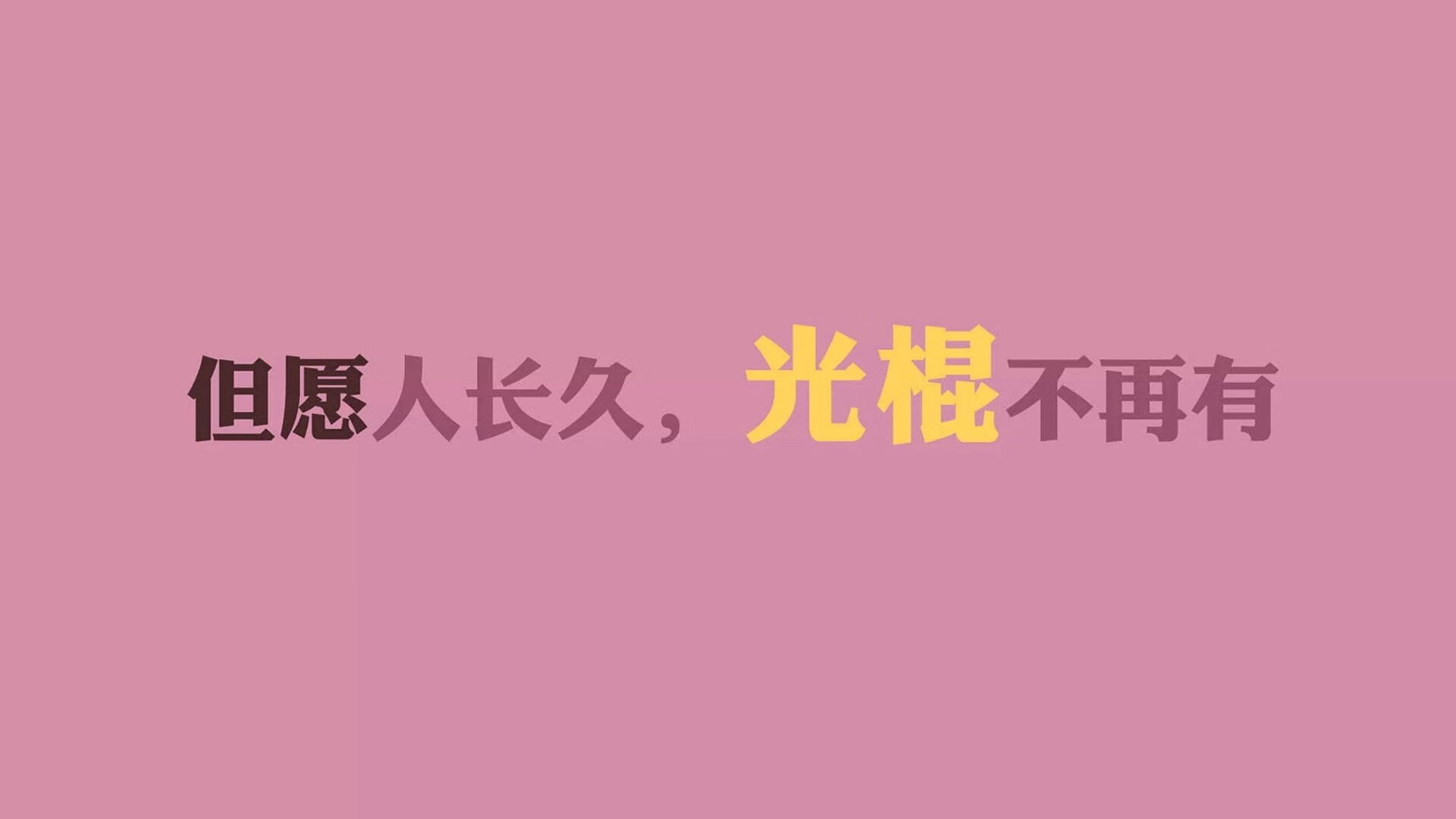 巴西骑手大卫·阿尔维斯在巴黎奥运会盛装舞步比赛中获得第十三名，创造个人最佳成绩。