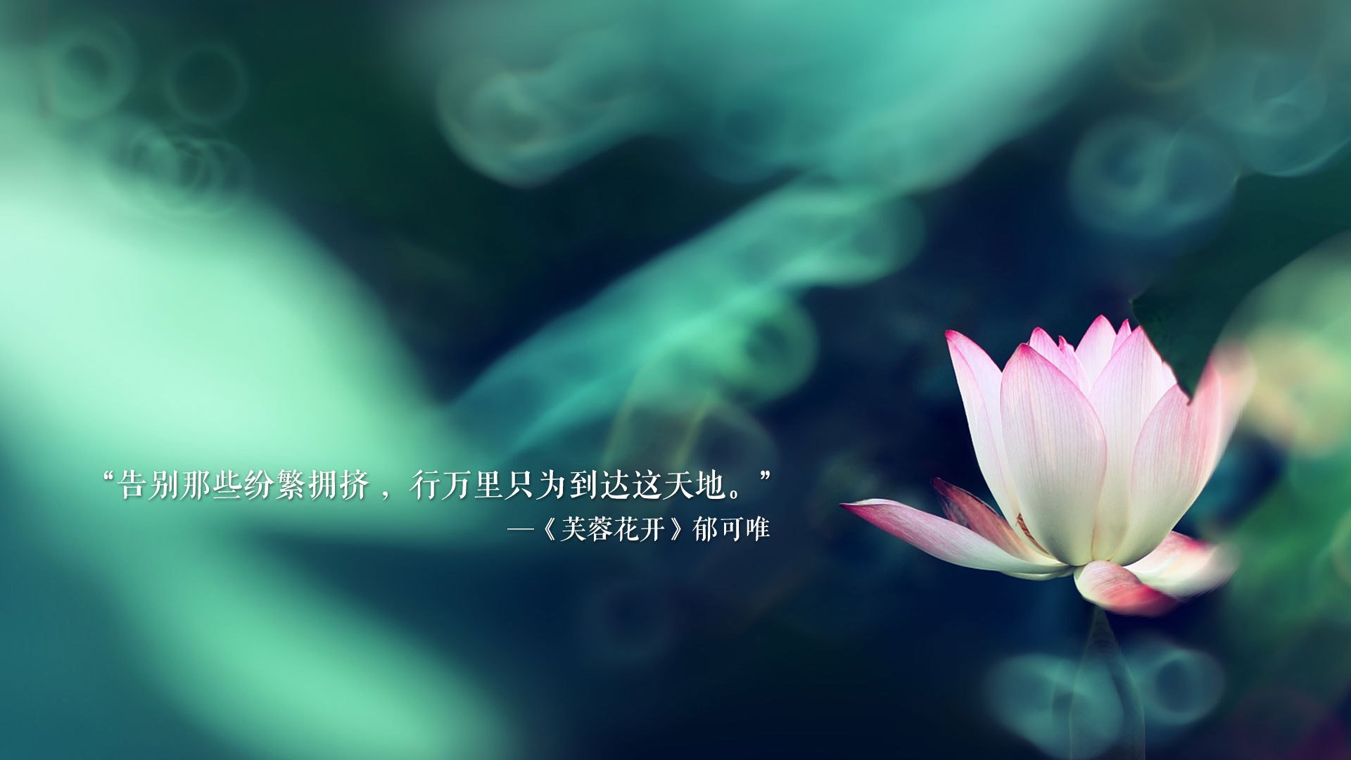 纪录挑战赛：WRC哪些记录即将被打破？，wrc锦标赛
