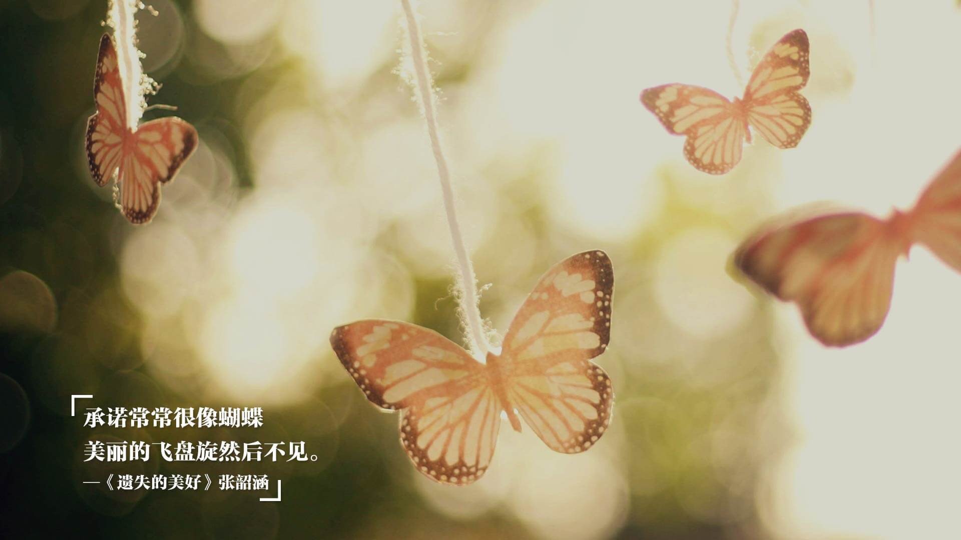 勒沃库森战平比赛，积分暂时稳定，勒沃库森比赛视频聚胜顽球汇
