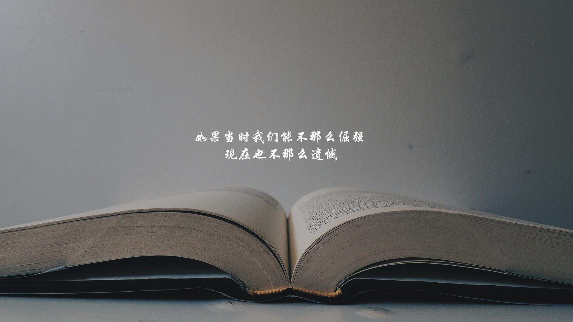塞内加尔马术协会与兽医合作，开展马匹疾病预防与治疗研究。，塞内加尔 马内