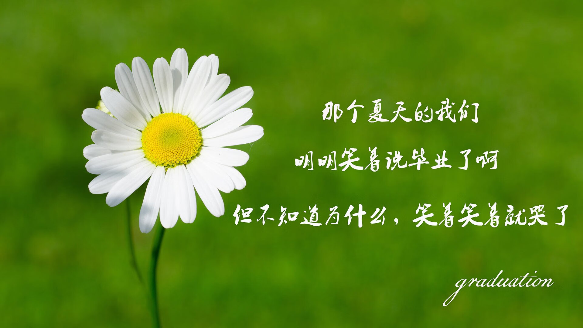 阿根廷队国家队备战美洲杯，球员健康状态良好，阿根廷国家队美洲杯战绩