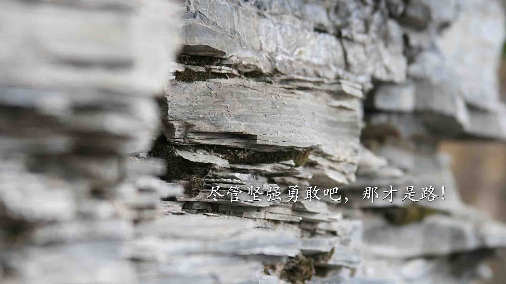 西甲防守策略调整对定位球防守成功率的影响分析，西甲新赛季用球
