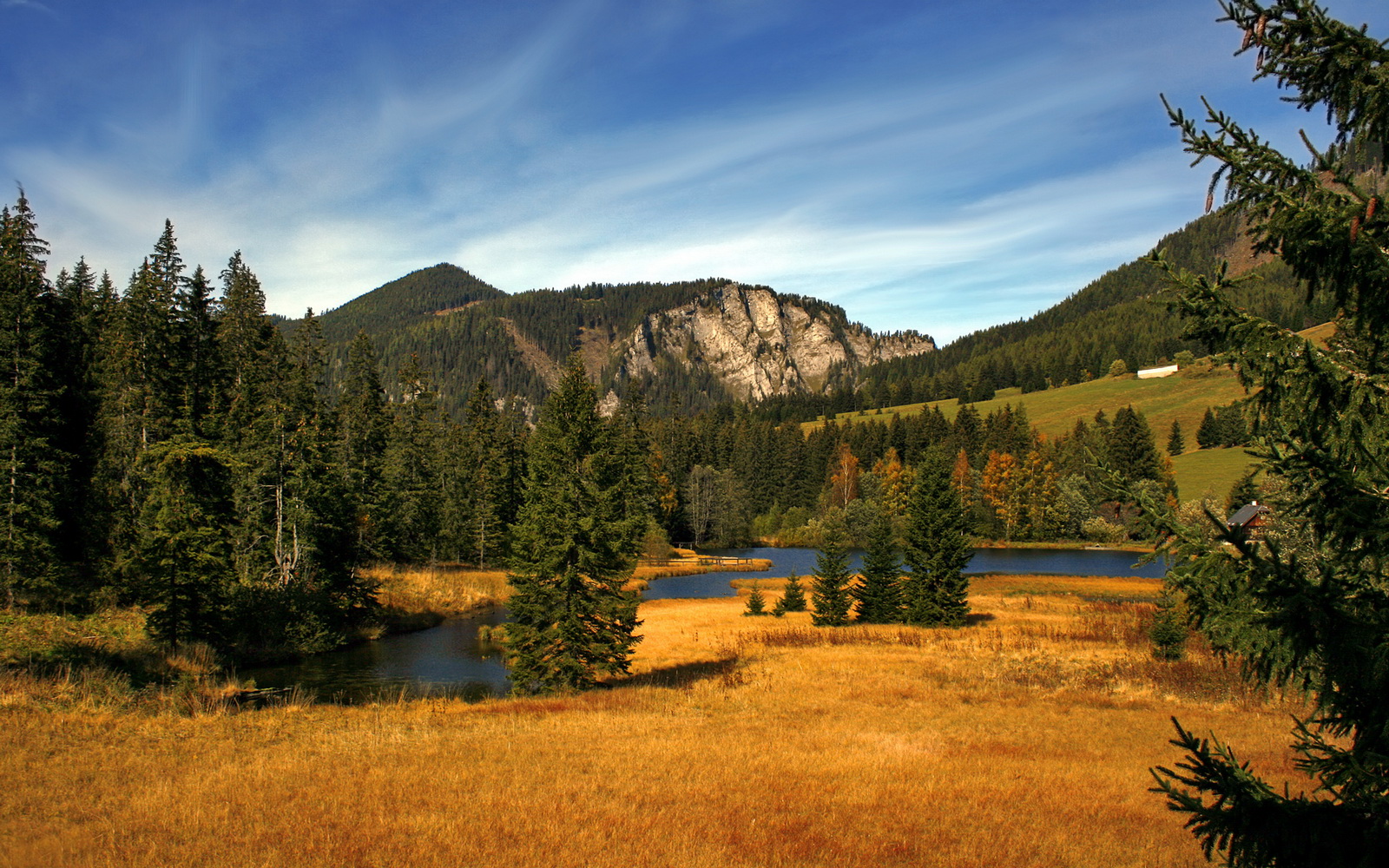 法国混合接力赛后感谢团队支持，混合接力决赛